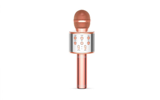MICROFONO KARAOKE SUONO