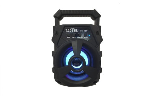 PARLANTE 3 PULGADAS TS-1801