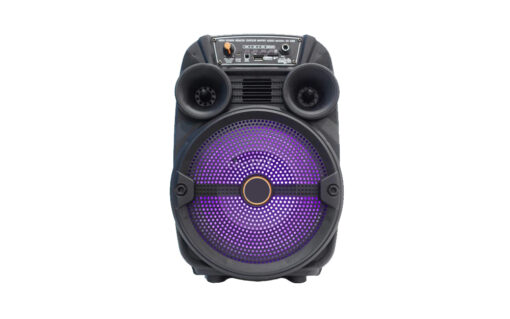 PARLANTE 8 PULGADAS SS-888 SUONO