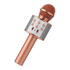 MICROFONO KARAOKE WS-858