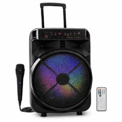 PARLANTE 15 PULGADAS C/MICROFONO VALLEY SP2145